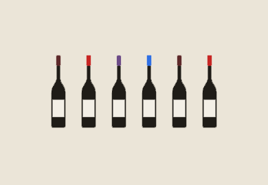 6-Bottle Fall Release Allocation