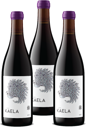 2021 Cuvée Kaela Pinot Noir 3 Pack