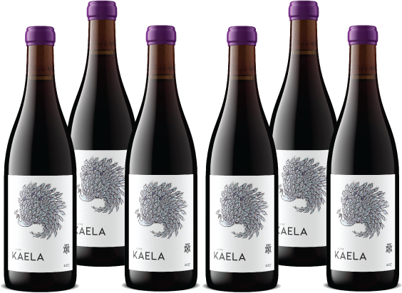 2021 Cuvée Kaela Pinot Noir 6 Pack